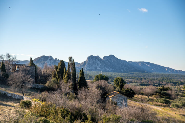 Van Gogh Trail in Provence