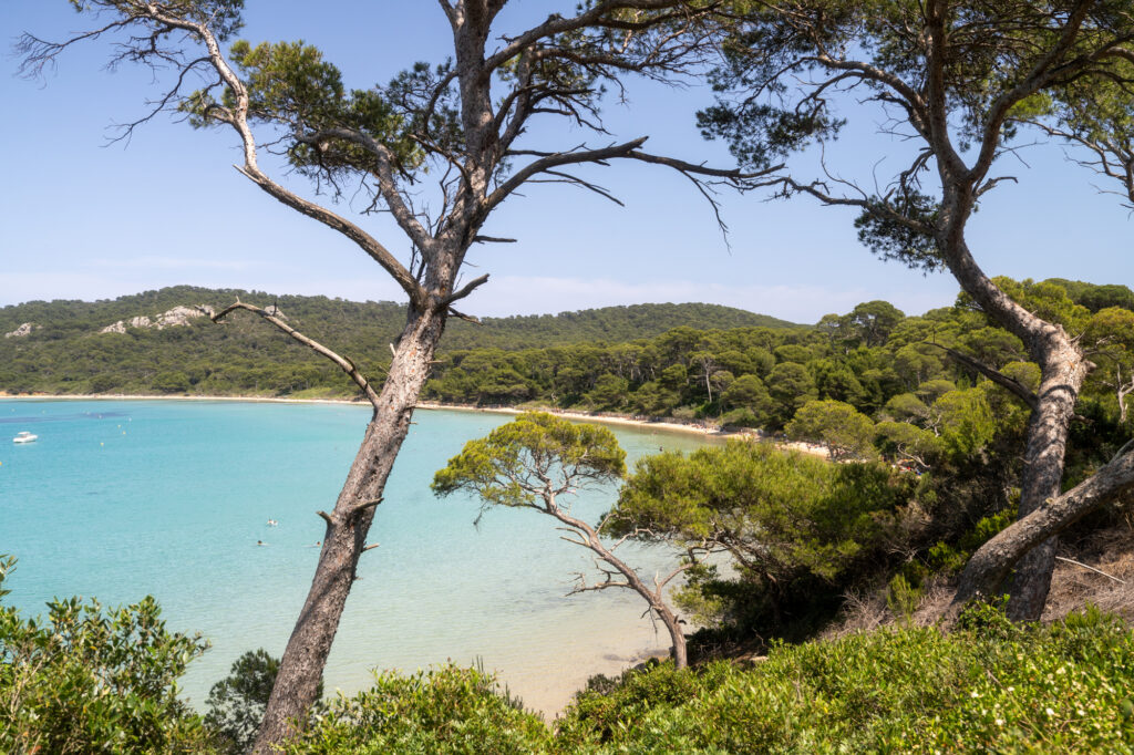Porquerolles Island, France