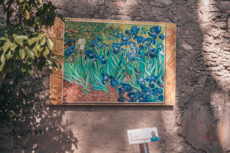 The Provence Trail Where Van Gogh’s Paintings Come to Life