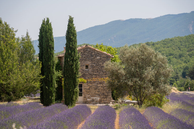 Some of Provence’s Most Beautiful Stays Are Hidden Among Lavender Fields – Here’s Where to Find Them